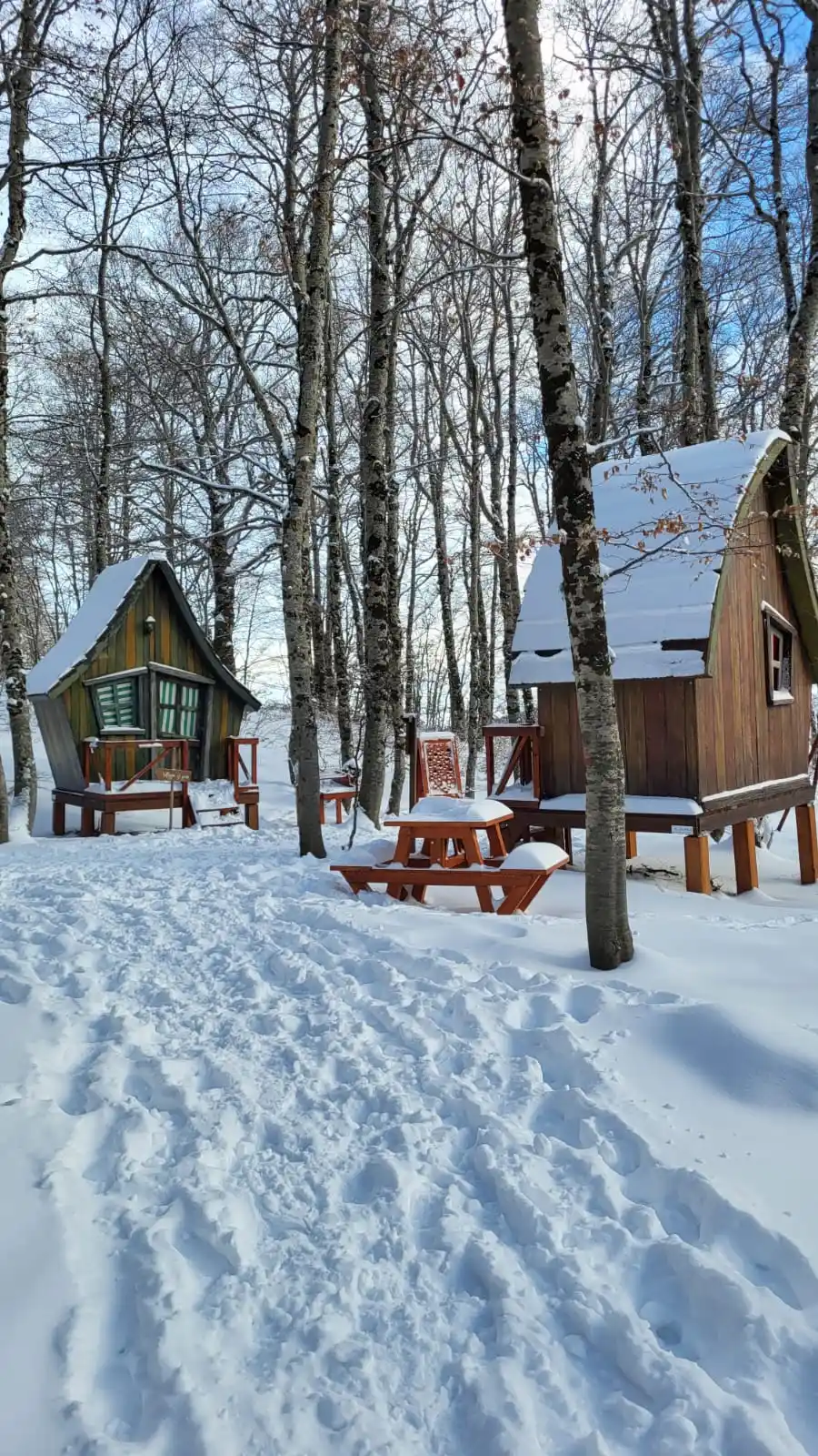 Ciaspolata Abruzzo | Il Bosco delle Meraviglie di Roccaraso slide