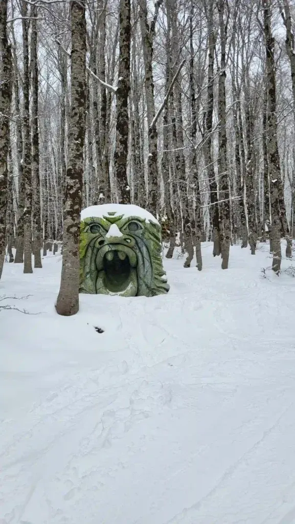 bosco delle meraviglie