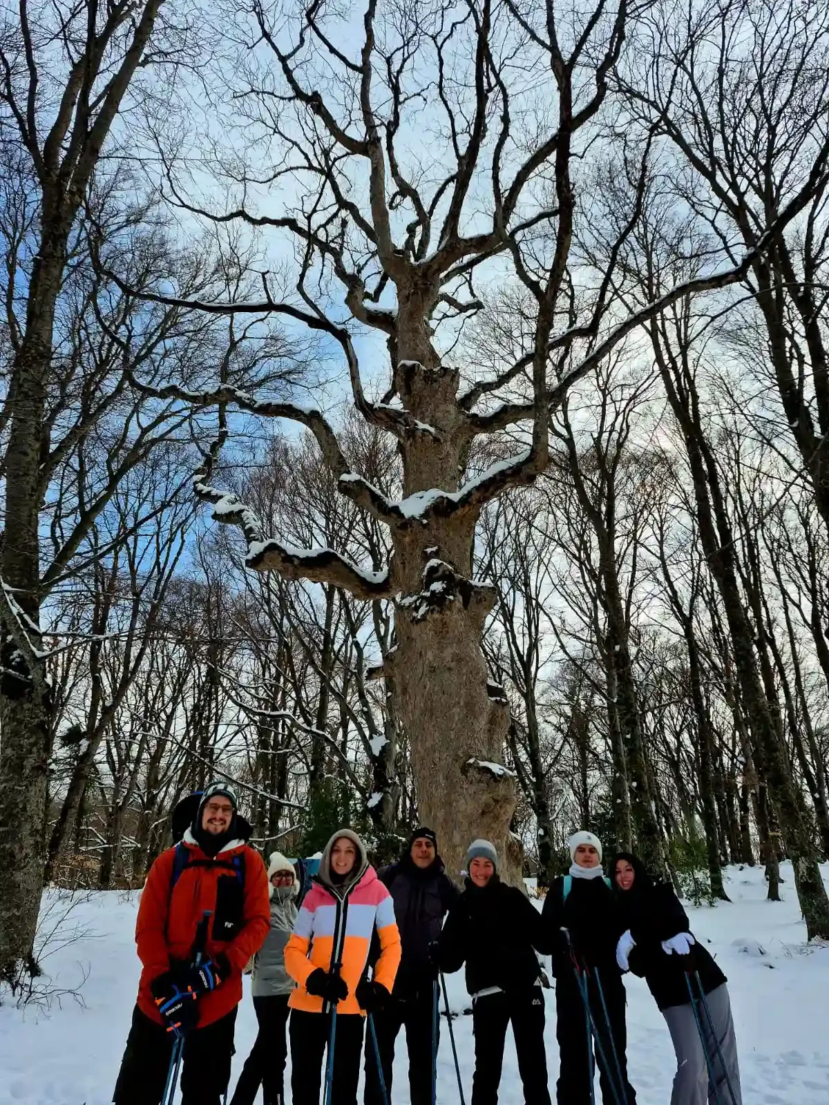 Article Ciaspolate nel Bosco di Sant'Antonio thumbnail