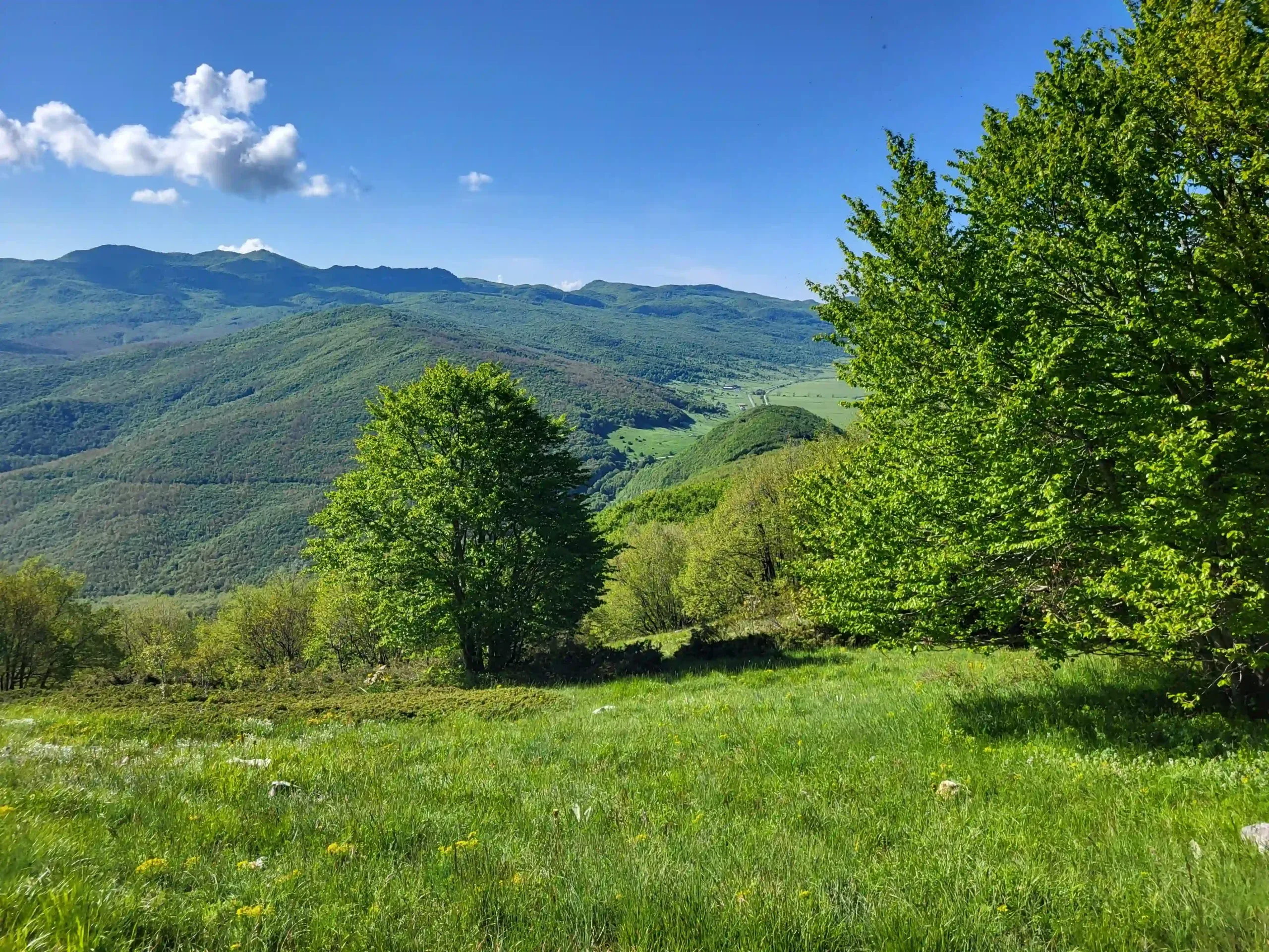 Article Escursioni per famiglie sulla Maiella: un’avventura tra boschi e panorami thumbnail